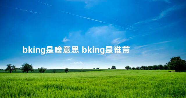 bking是啥意思 bking是谁带火的